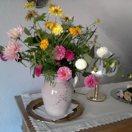 Affittacamere Gastehaus Frischhut