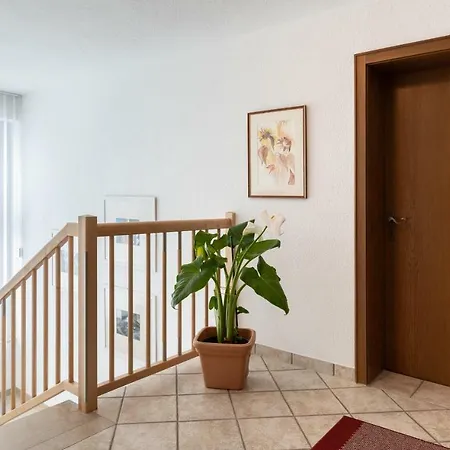ゲストハウス Gastehaus Frischhut 3*