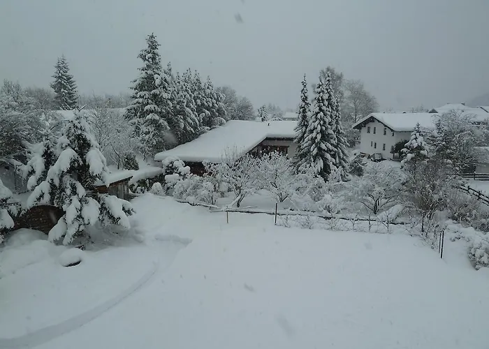 Gastehaus Frischhut